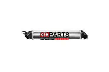 07-11 MINI COOPER - ინტერქულერი